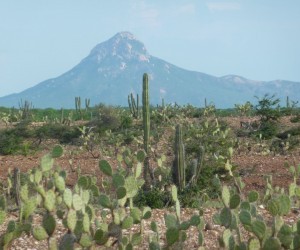 Cerro de La Teta - Alta Guajira. Fuente: Panoramio.com Por: Mario Moreno